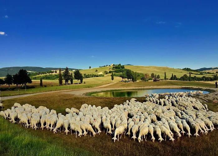 Hotel Relais Val D'orcia