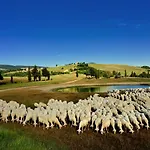 فندق Relais Val D'orcia